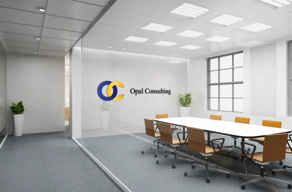 Opal Consulting Team
